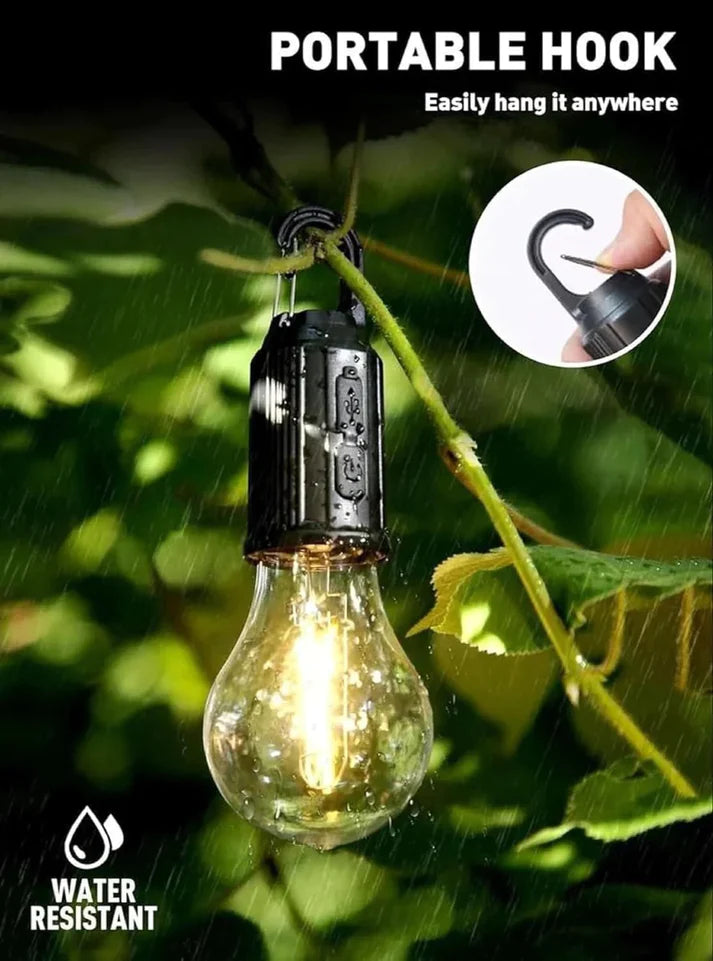 Portable Bulb