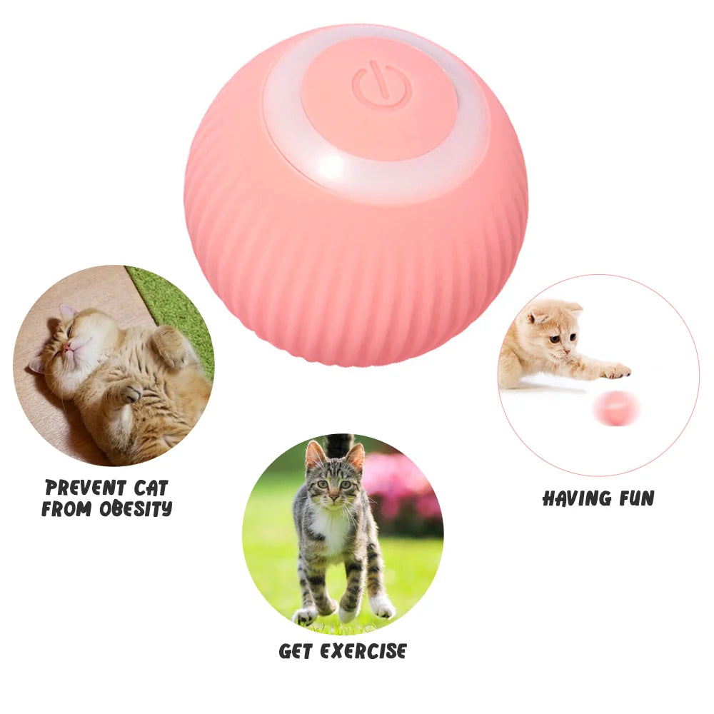 PurrPlay Smart Cat Rolling Ball