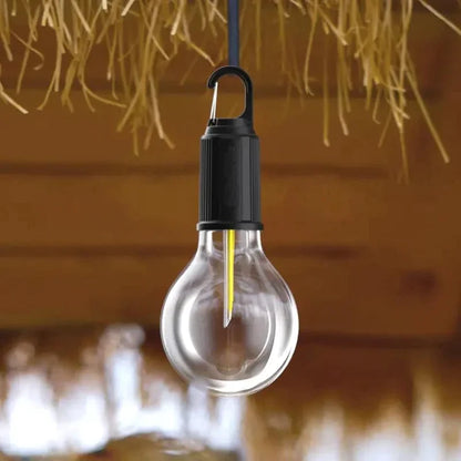 Portable Bulb