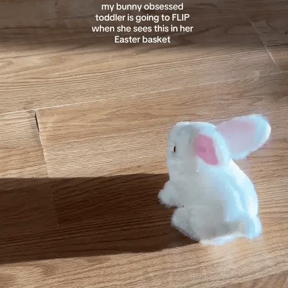 HappyHops™ Jumping Rabbit Toy – Eclectic Essentials