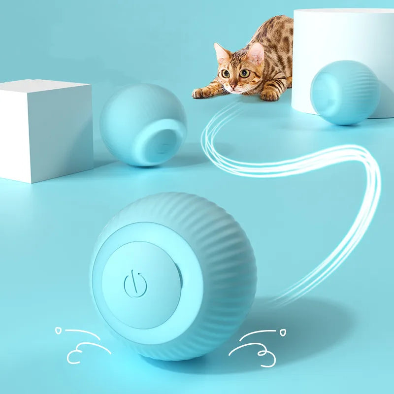 PurrPlay Smart Cat Rolling Ball